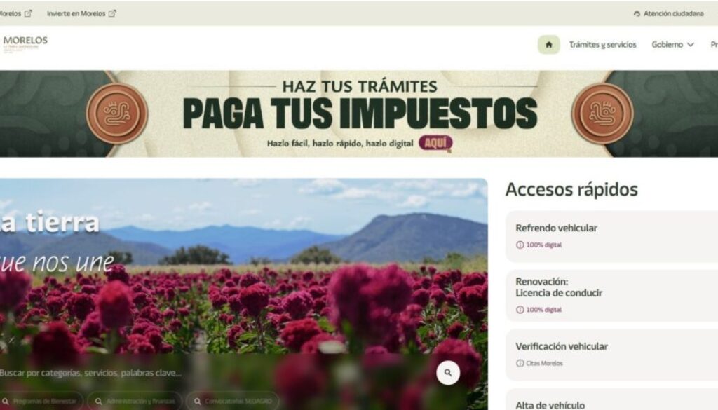 c5d0fbe9-c48d-4cb7-832e-6e2590b3aafa