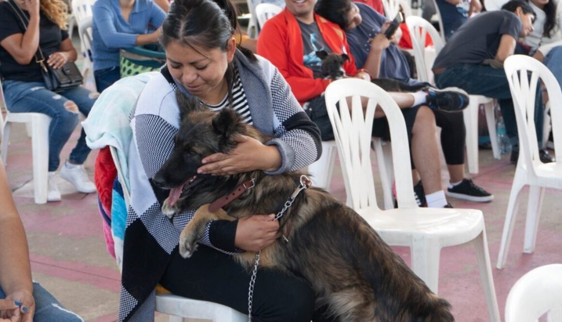 92e31321-4e66-465f-98a2-dbb963e75c0c