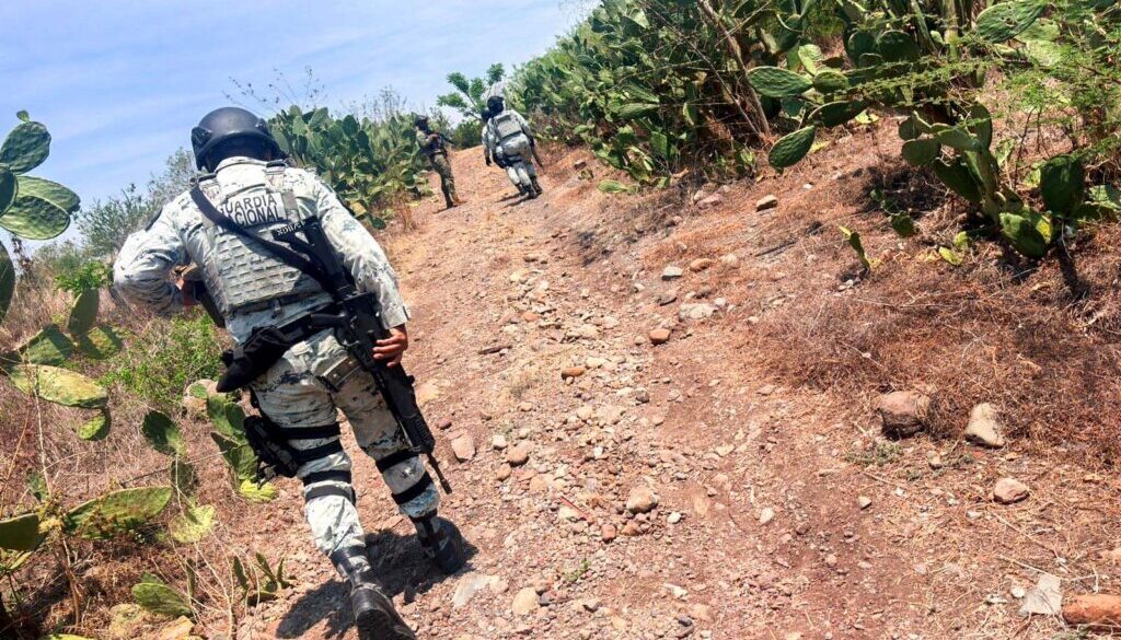 43b5692b-94c6-45d3-9ac8-9c32d8e2c3f7