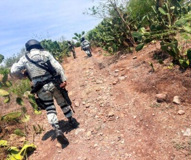 43b5692b-94c6-45d3-9ac8-9c32d8e2c3f7