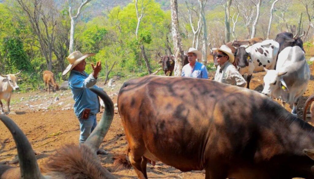 c10e7f80-fd6f-43b7-bc55-6189a5033996