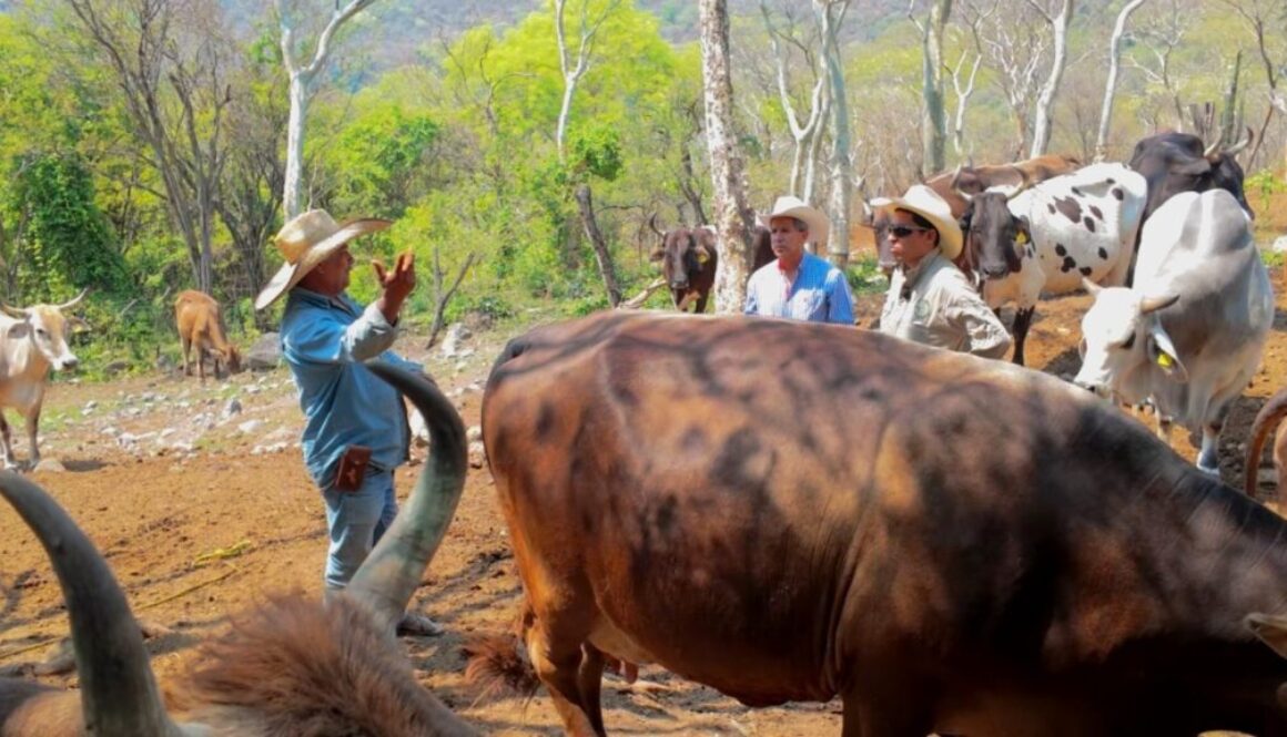 c10e7f80-fd6f-43b7-bc55-6189a5033996