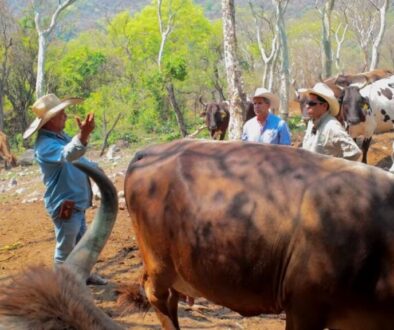 c10e7f80-fd6f-43b7-bc55-6189a5033996