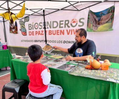 939495a2-9453-43e8-9915-50e8077e27ae