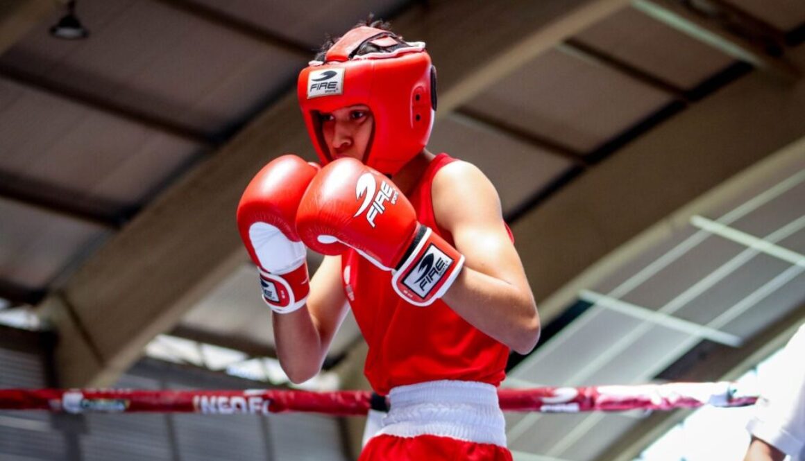 defd8f95-d8f7-43f5-860e-fceece4cddf2