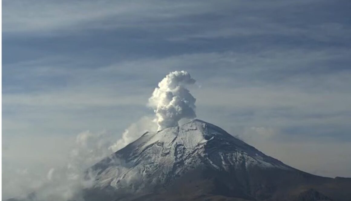 5e9550c8-317e-4979-9f6b-334fd4ee2ca3