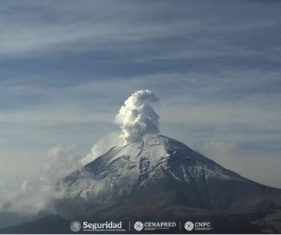 5e9550c8-317e-4979-9f6b-334fd4ee2ca3