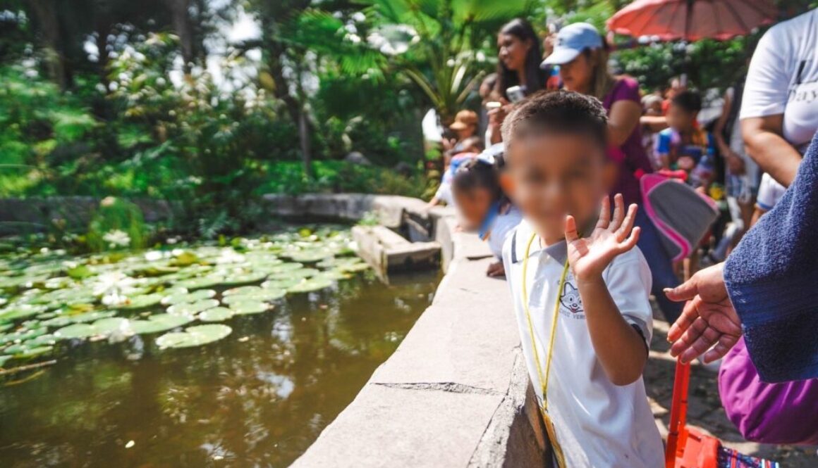 11f2bdb5-8590-4de6-b571-21c9914efe8f