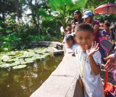 11f2bdb5-8590-4de6-b571-21c9914efe8f