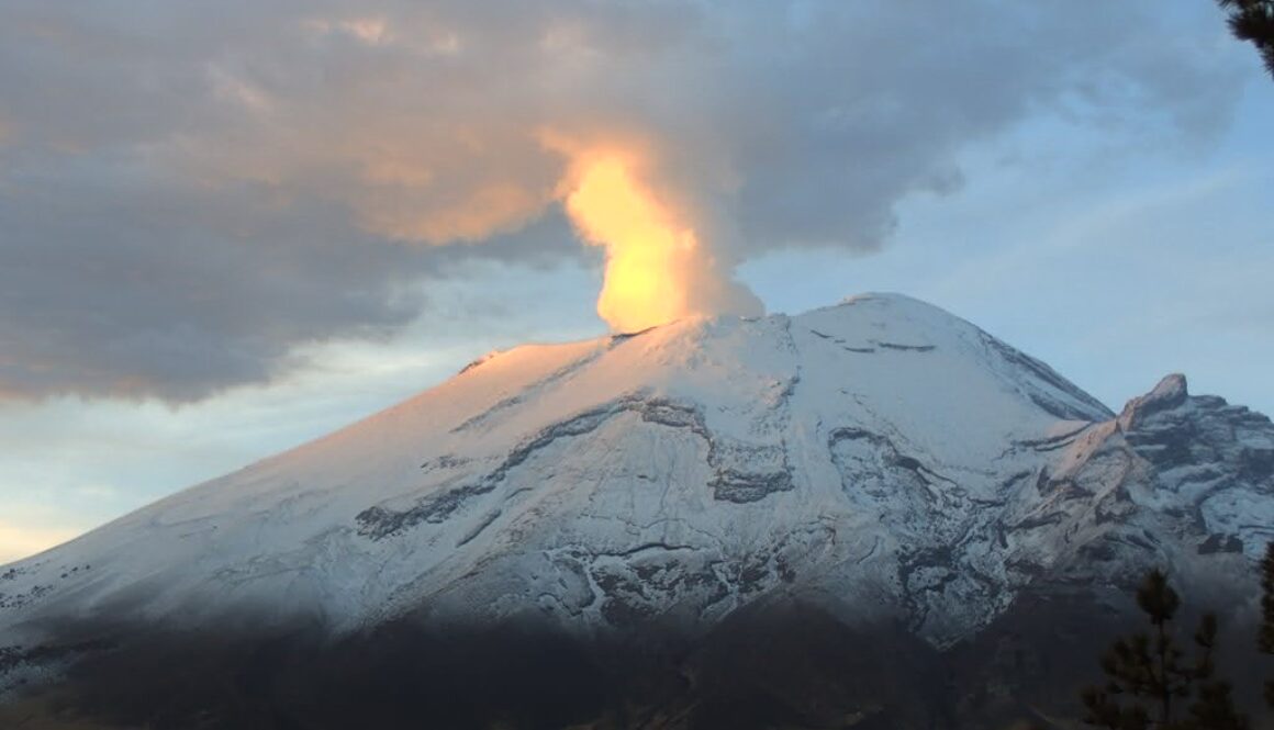 5f33cda2-339f-4dfc-a6e1-1154e3b52e3f