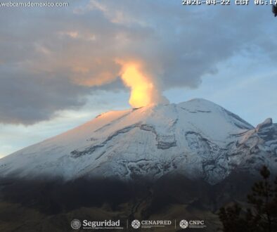 5f33cda2-339f-4dfc-a6e1-1154e3b52e3f