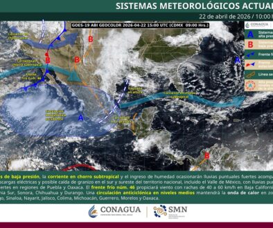 imagen_interpretada_web