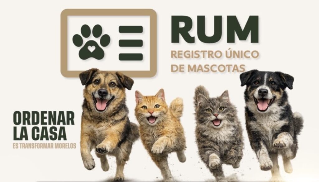 83eadd36-0692-4b6e-9fc5-8d3b480f6f5a