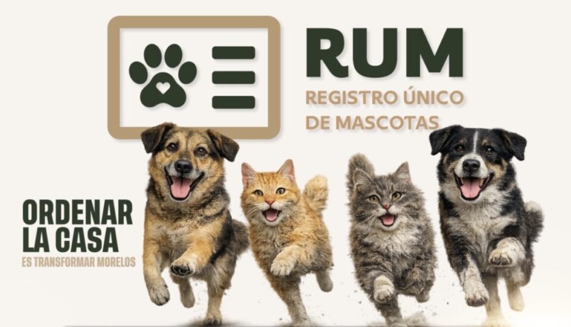 83eadd36-0692-4b6e-9fc5-8d3b480f6f5a