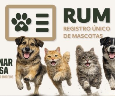 83eadd36-0692-4b6e-9fc5-8d3b480f6f5a