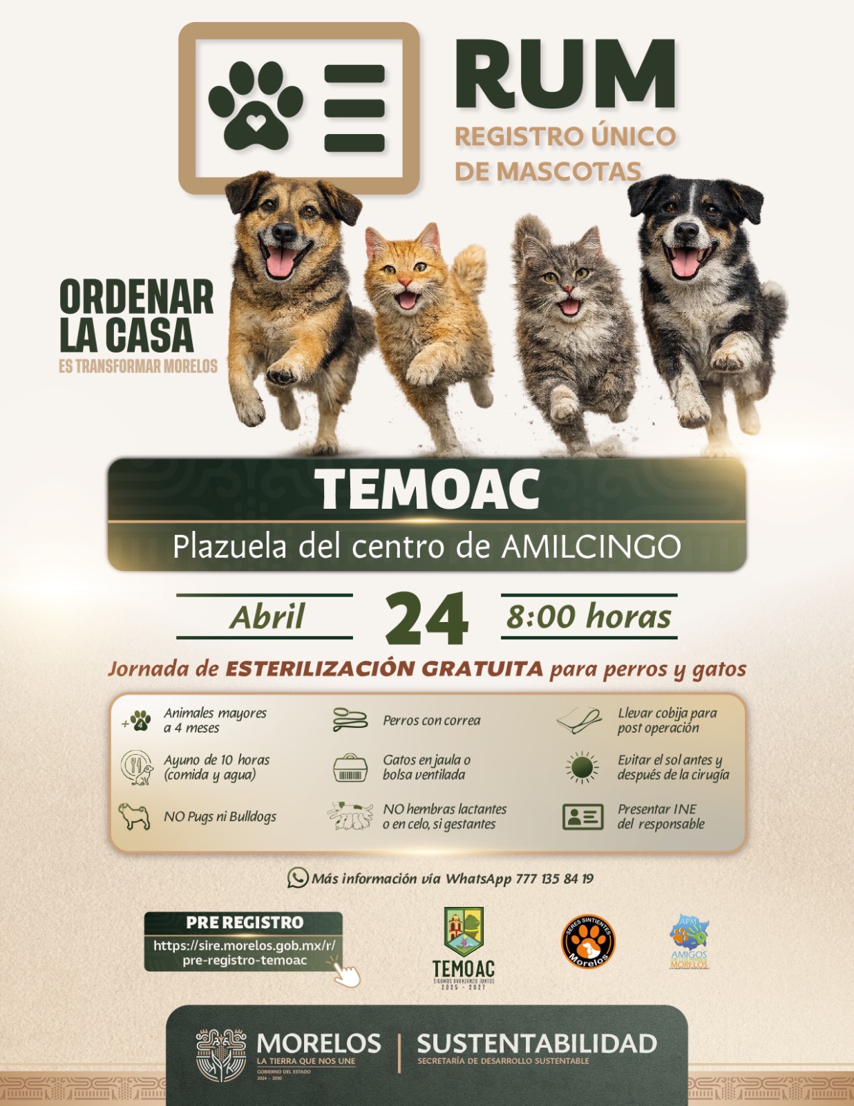 REALIZARÁN ESTERILIZACIONES GRATUITAS EN AMILCINGO, TEMOAC, COMO PARTE DEL PROGRAMA RUM DE LA SDS