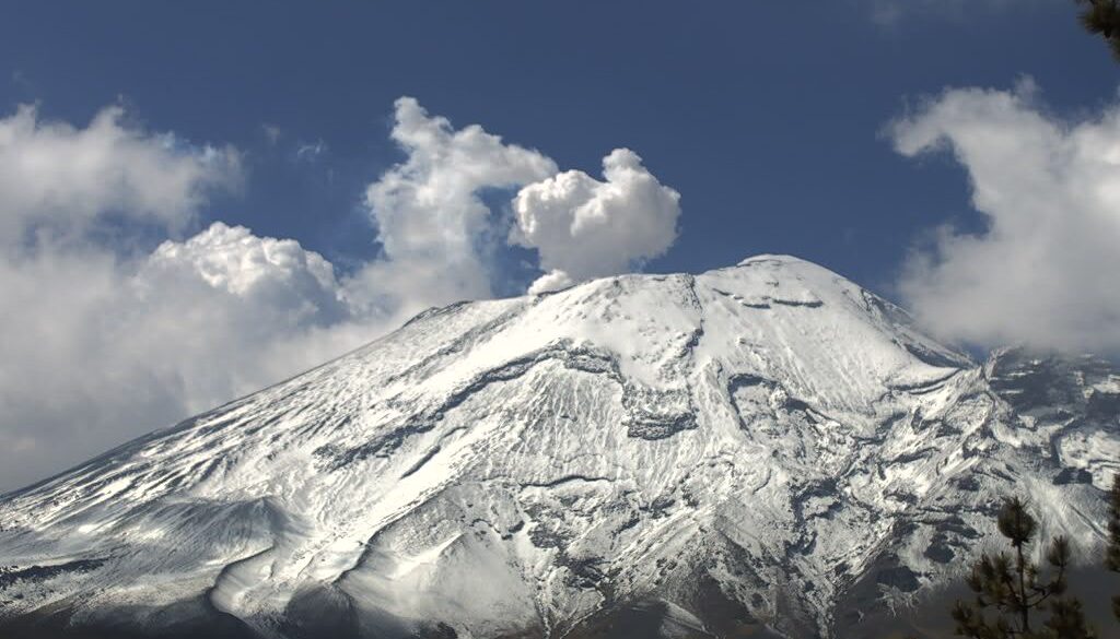 c0d550b7-2a7d-4f9e-bdfd-d515ece847a8