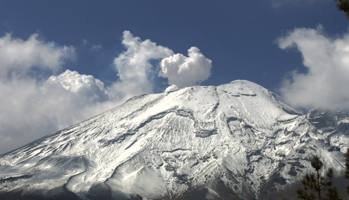 c0d550b7-2a7d-4f9e-bdfd-d515ece847a8