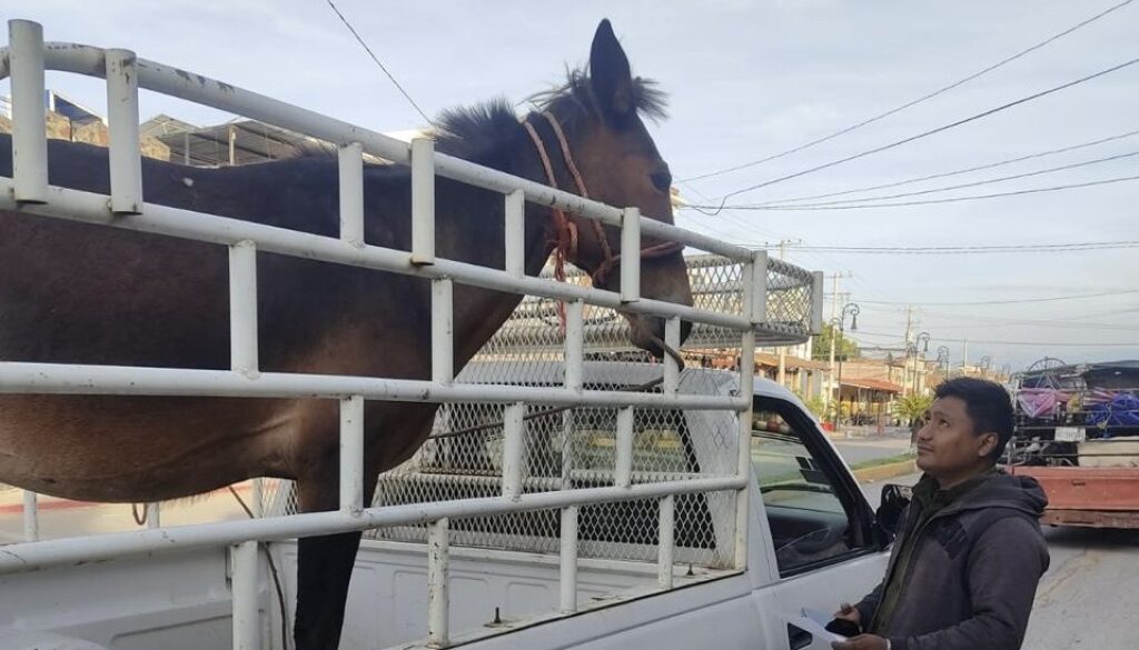 b14c1cff-6e2f-452f-b84a-d4c917e22bd1