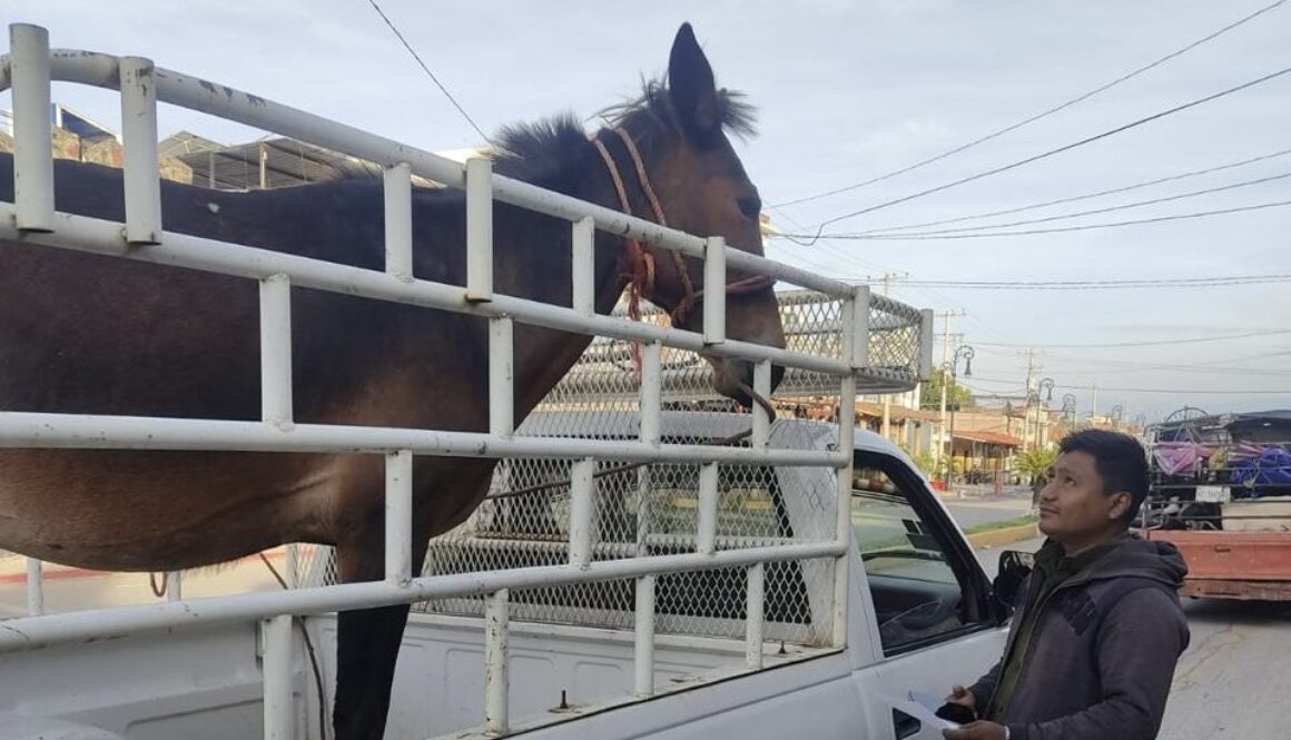 b14c1cff-6e2f-452f-b84a-d4c917e22bd1