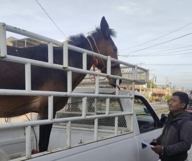 b14c1cff-6e2f-452f-b84a-d4c917e22bd1