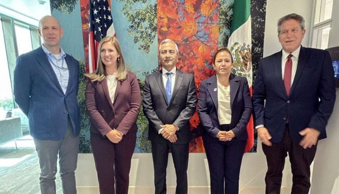 0ce4e74f-1ad7-4c59-a789-1351197a7c46