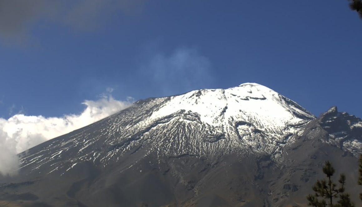 63fe3ee0-1680-46d2-b29e-281163048458