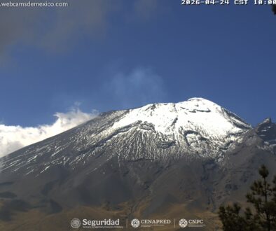 63fe3ee0-1680-46d2-b29e-281163048458