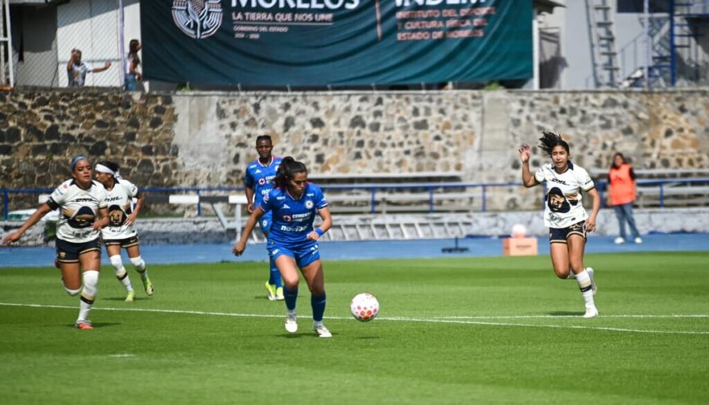 d296ab5e-9e25-4ed1-8844-52b78c3f4c7a