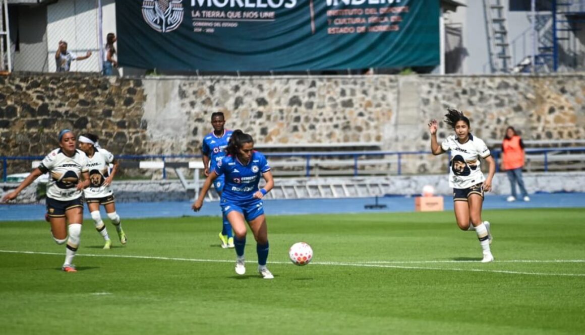 d296ab5e-9e25-4ed1-8844-52b78c3f4c7a