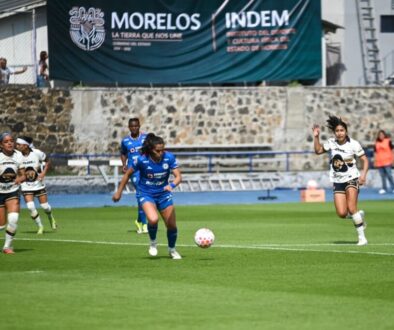 d296ab5e-9e25-4ed1-8844-52b78c3f4c7a