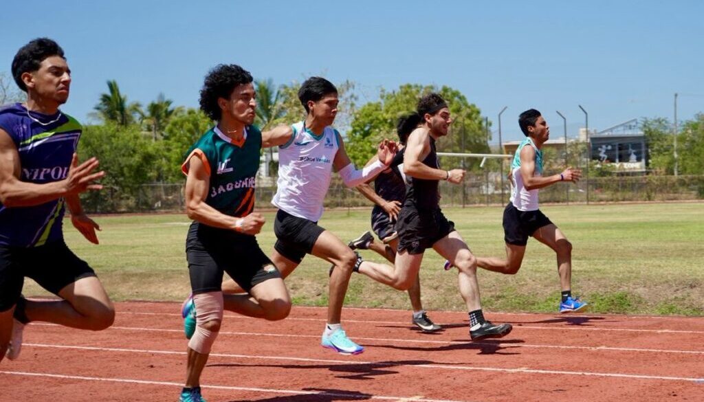 06811a89-b074-4fe0-820d-3bdaae4ea237