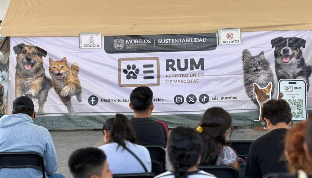 fc9f9347-4c69-4adb-ace7-e66e03272fb4