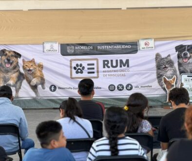 fc9f9347-4c69-4adb-ace7-e66e03272fb4