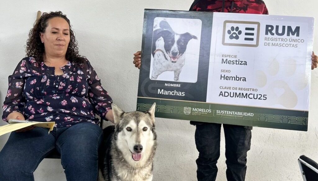 ff8dbe7d-5d8a-4631-94fb-9f340b2b1aeb