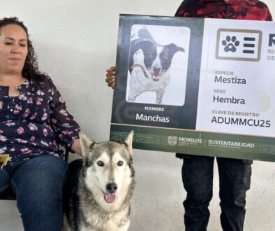 ff8dbe7d-5d8a-4631-94fb-9f340b2b1aeb