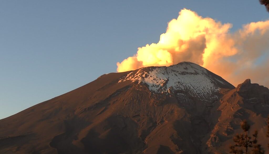 1e262e6b-2d86-4e87-974e-281eaf914eff