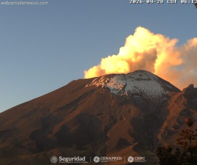 1e262e6b-2d86-4e87-974e-281eaf914eff