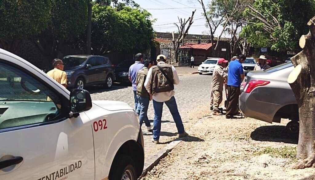 924bc45b-bc76-4860-b110-5ec29ef3ff63