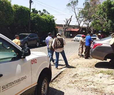 924bc45b-bc76-4860-b110-5ec29ef3ff63