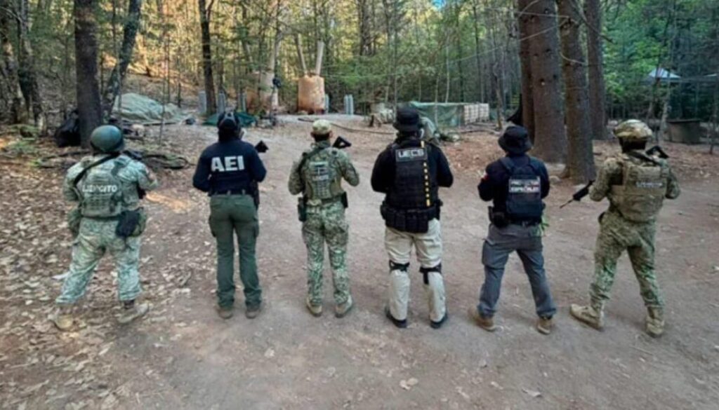 2f12aaae-8819-4ee9-9c1e-e2800c6d7bc2_1354x716