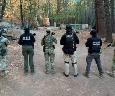 2f12aaae-8819-4ee9-9c1e-e2800c6d7bc2_1354x716