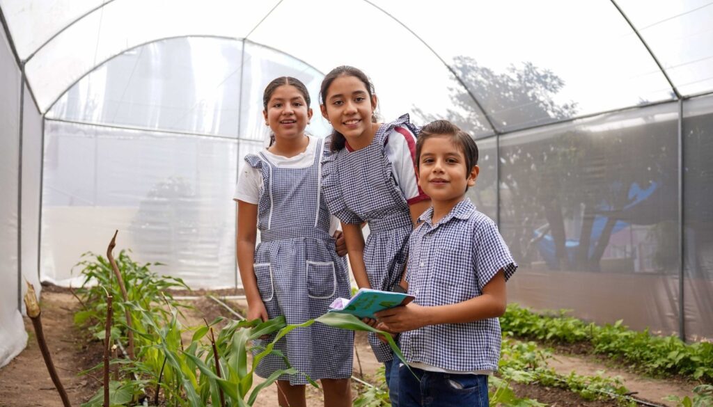 77099a76-441d-4d1a-8622-6a5806485ebf