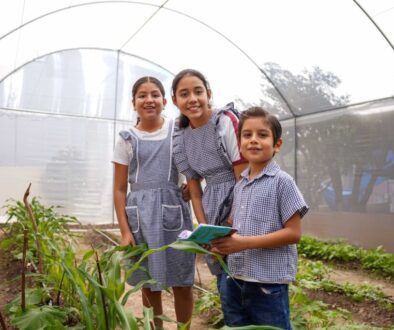 77099a76-441d-4d1a-8622-6a5806485ebf