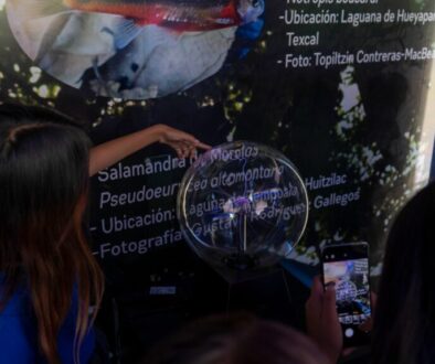 48529d1e-7f9a-43ab-9237-b20fbbe70cdf