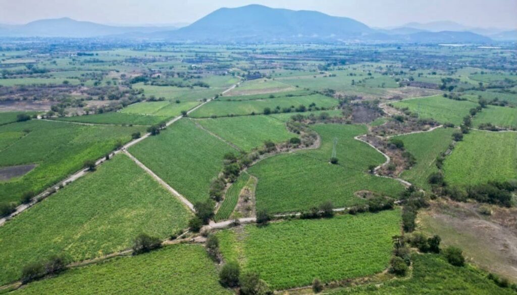 2ae7a8ce-665c-4320-be97-040db7d0a791