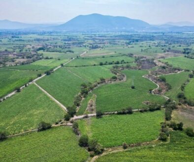 2ae7a8ce-665c-4320-be97-040db7d0a791