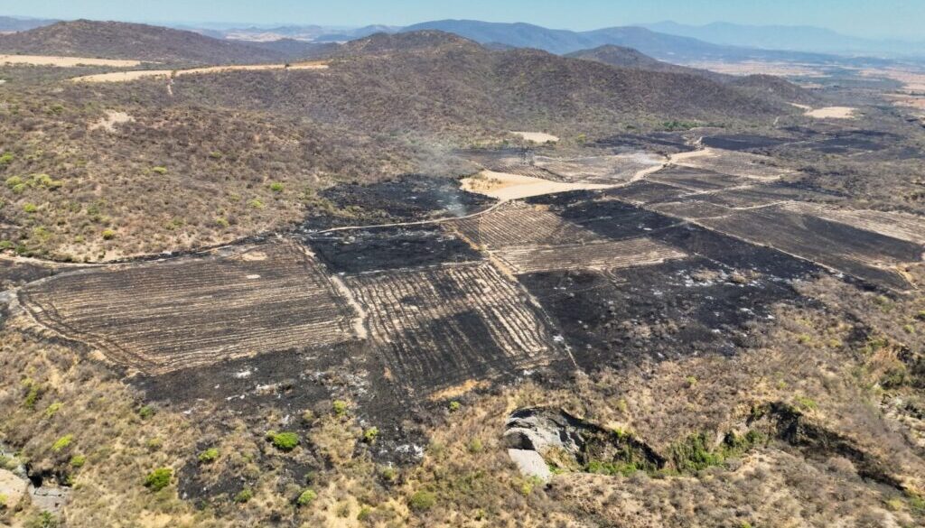 4b631d43-96fa-4c4e-a493-84410b62d15a