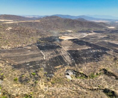 4b631d43-96fa-4c4e-a493-84410b62d15a