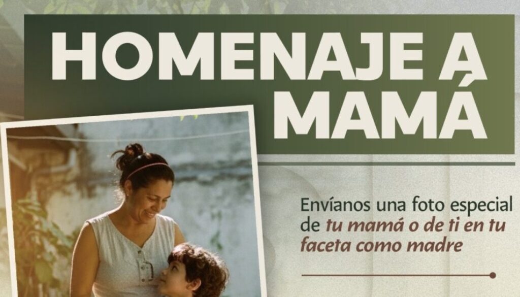 cc49a766-a431-4769-8eac-31cf2c837df7